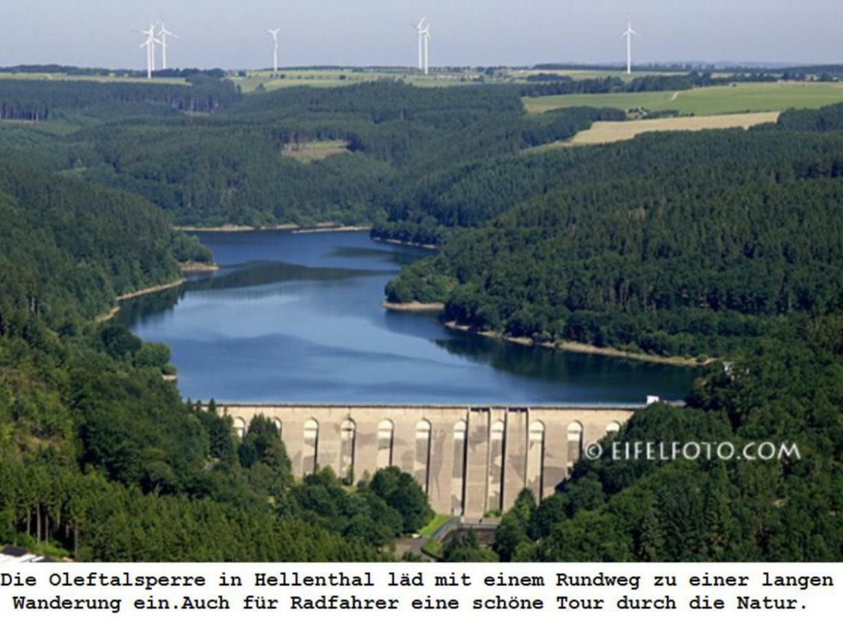 Ferienwohnung Gross B Schleiden Exteriör bild