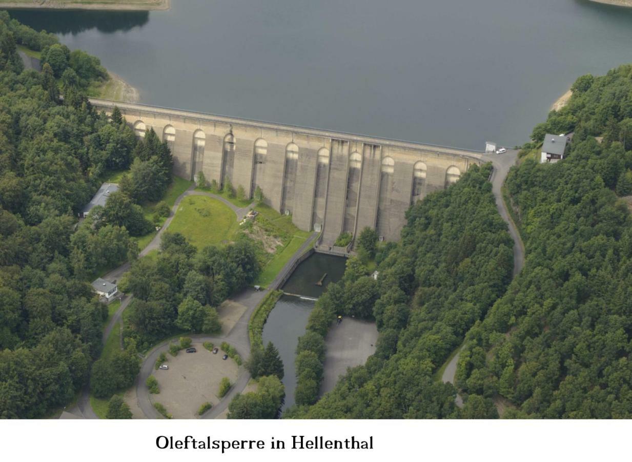 Ferienwohnung Gross B Schleiden Exteriör bild